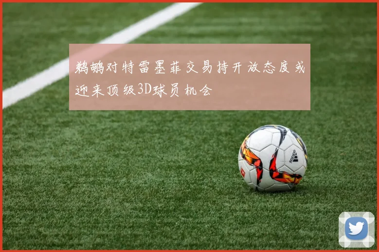 鹈鹕对特雷墨菲交易持开放态度或迎来顶级3D球员机会