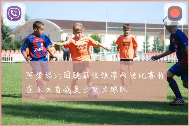 阿努诺比因腿筋伤缺席两场比赛将在东决首战复出助力球队